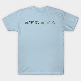 Stocksom Blue 9- Strata T-Shirt